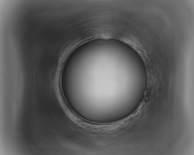 X0000102360001200808011502
