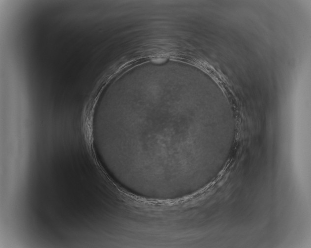 X0000102360002200808011502