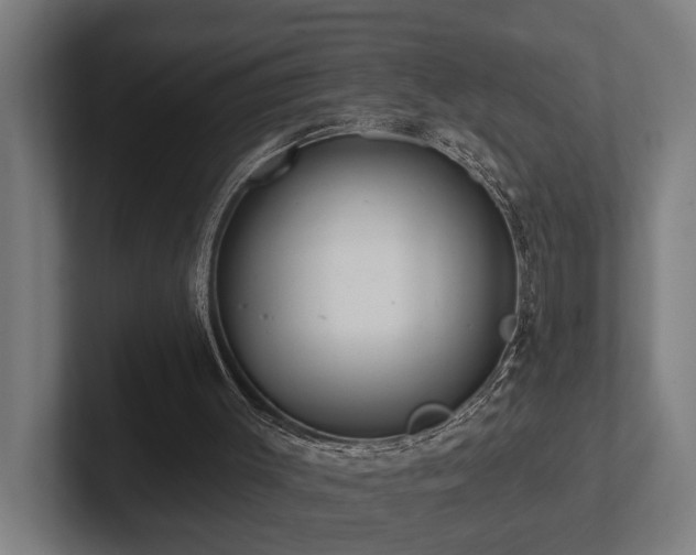 X0000102360003200808011502