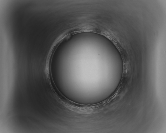 X0000102360004200808011502