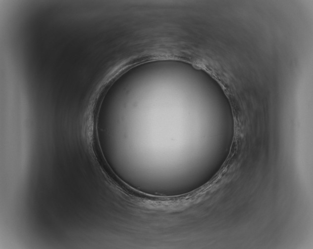 X0000102360005200808011502