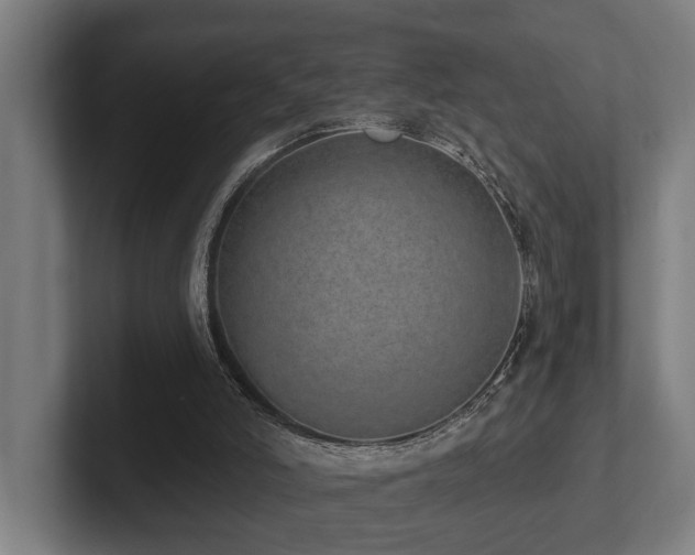 X0000102360006200808011502