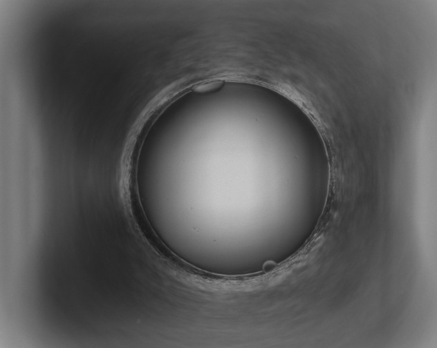 X0000102360007200808011502