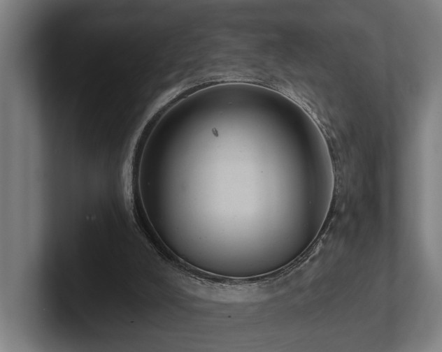 X0000102360008200808011502
