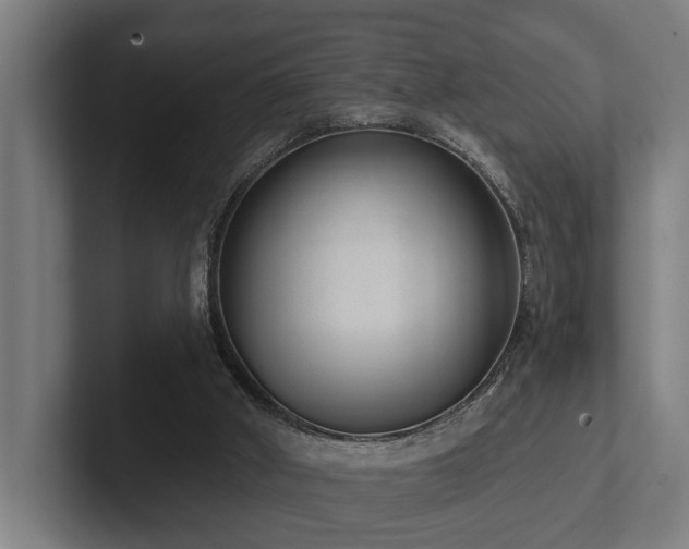X0000102360010200808011502