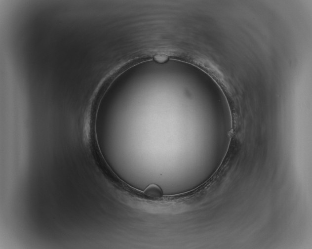 X0000102360012200808011502