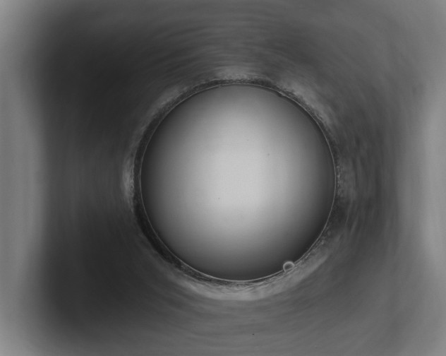 X0000102360015200808011502
