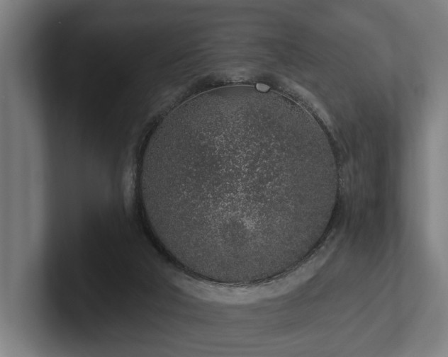 X0000102360018200808011502