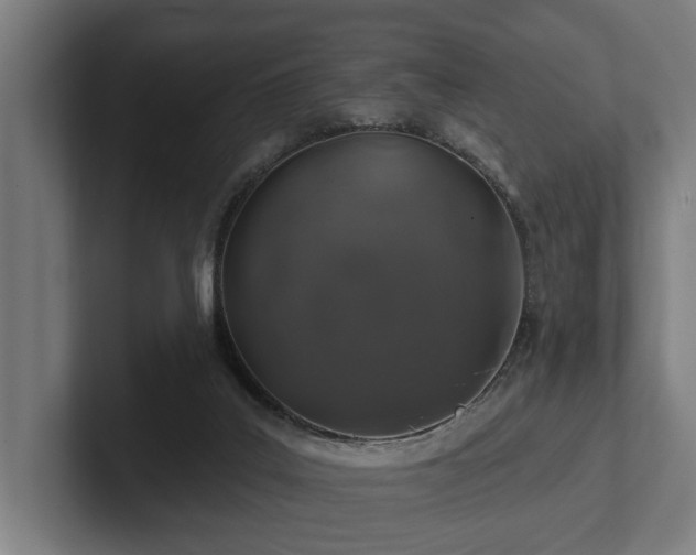 X0000102360019200808011502