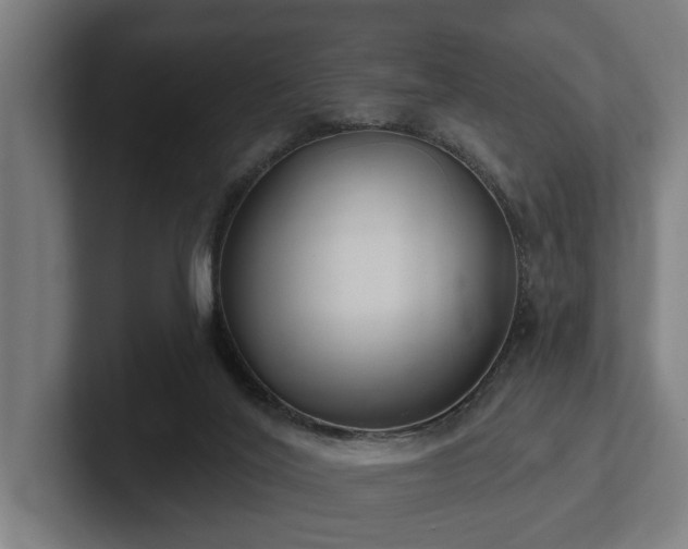 X0000102360020200808011502
