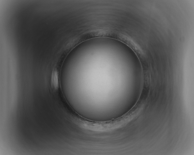X0000102360022200808011502