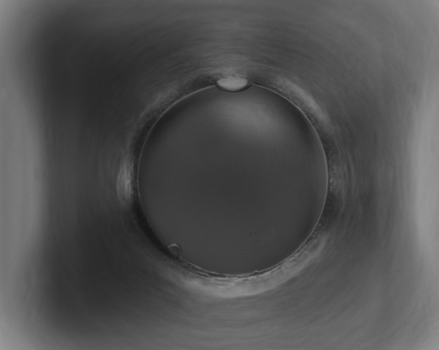 X0000102360023200808011502