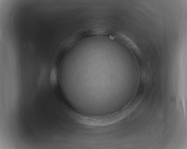 X0000102360026200808011502