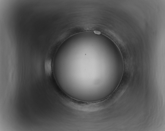 X0000102360028200808011502