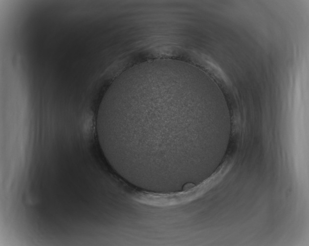 X0000102360029200808011502