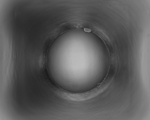 X0000102360030200808011502