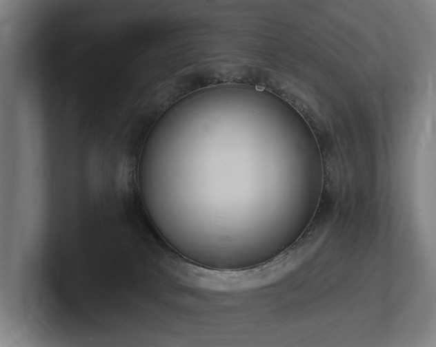 X0000102360034200808011502