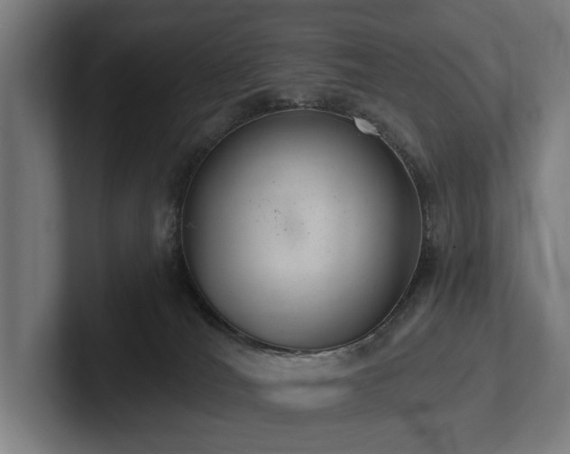 X0000102360036200808011502