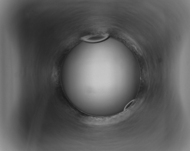X0000102360037200808011502