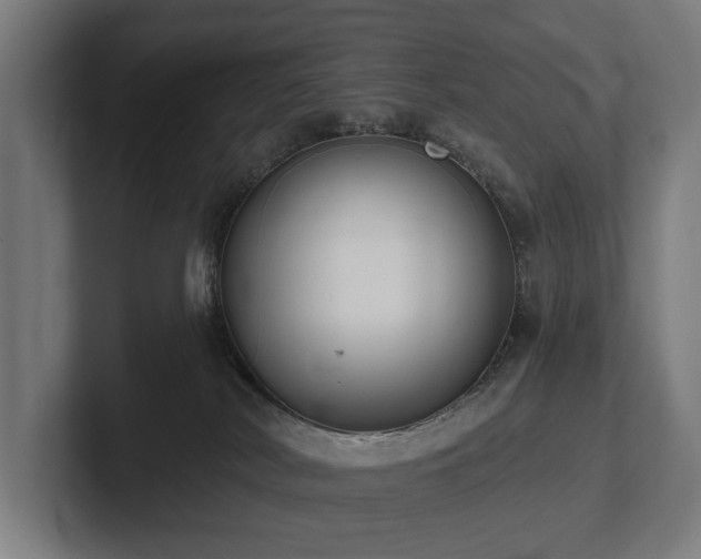 X0000102360038200808011502