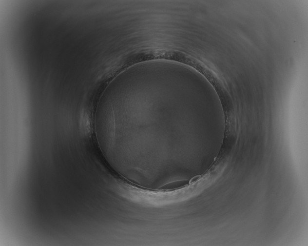 X0000102360039200808011502