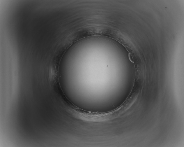 X0000102360040200808011502