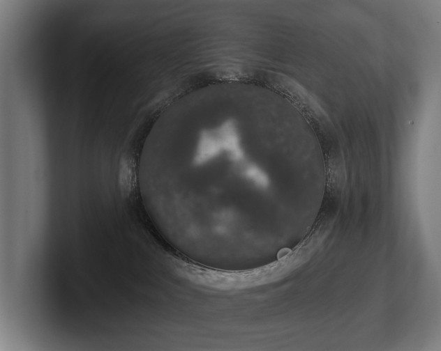 X0000102360043200808011502