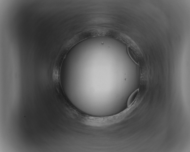 X0000102360045200808011502