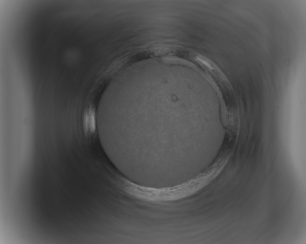 X0000102360046200808011502