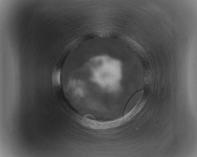 X0000102360047200808011502