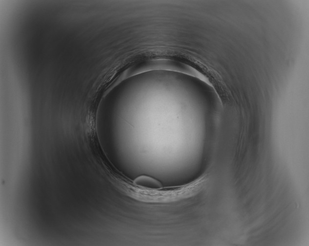 X0000102360048200808011502