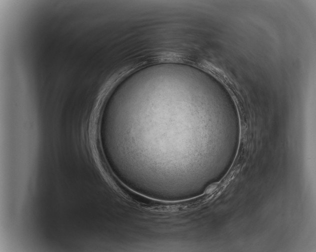 X0000102360049200808011501