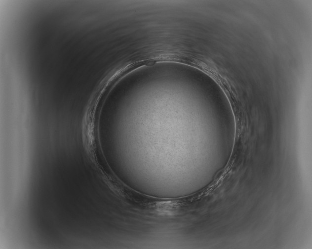 X0000102360050200808011501