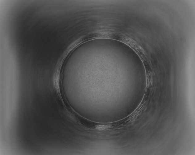 X0000102360051200808011501