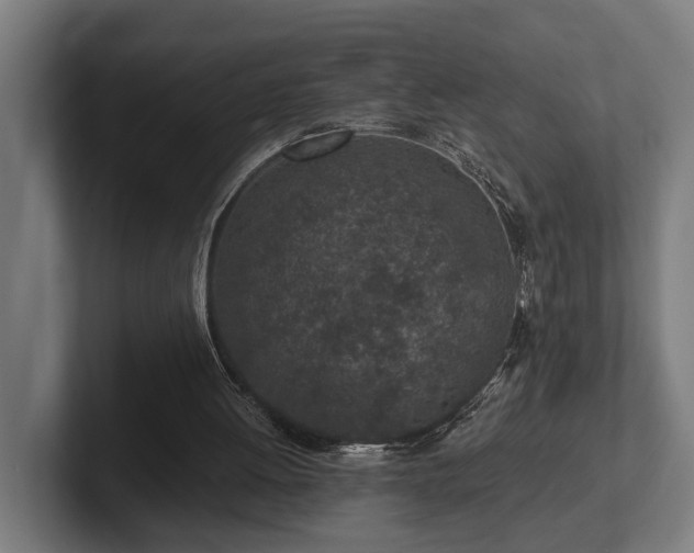 X0000102360052200808011501
