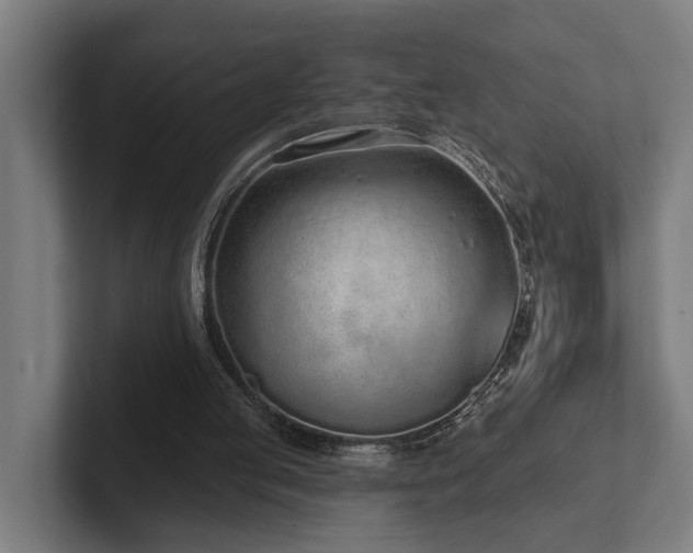 X0000102360053200808011501