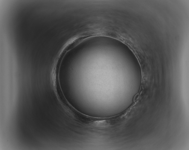 X0000102360054200808011501
