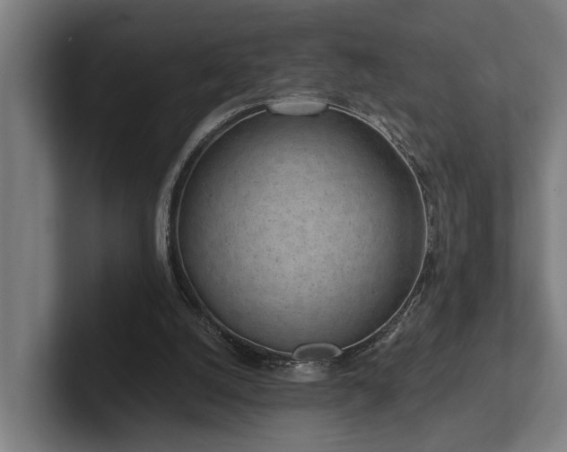 X0000102360056200808011501