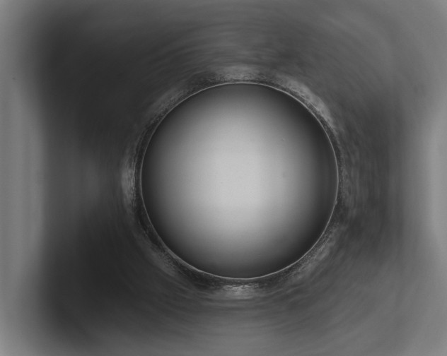 X0000102360057200808011501