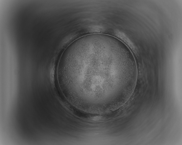 X0000102360058200808011501