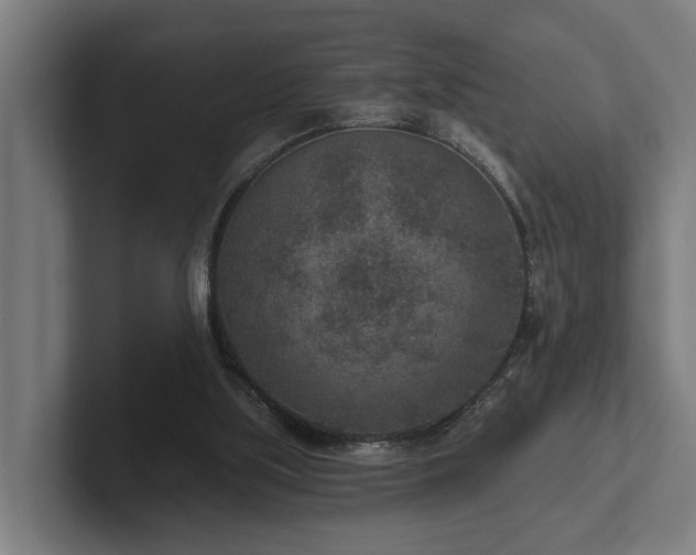 X0000102360059200808011501