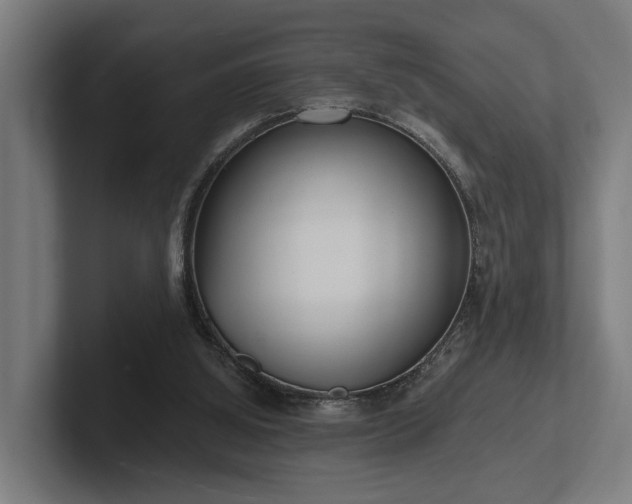 X0000102360060200808011501