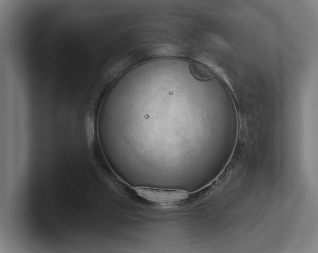 X0000102360061200808011501