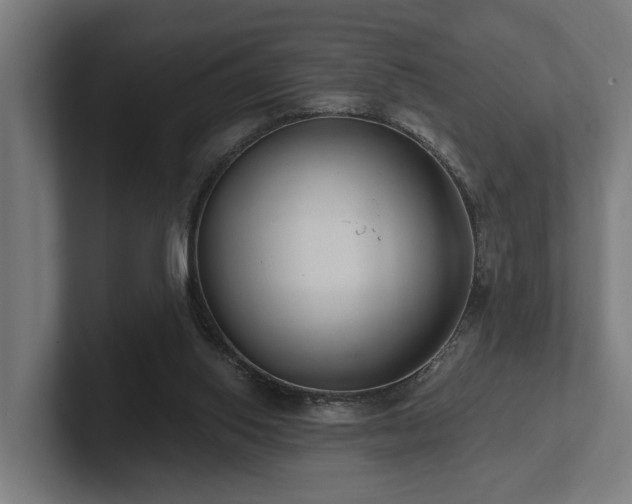 X0000102360062200808011501