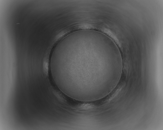 X0000102360063200808011501
