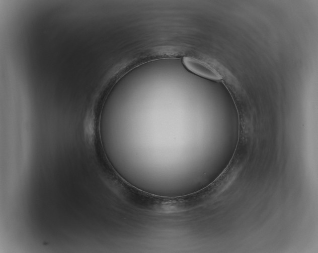 X0000102360064200808011501