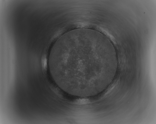 X0000102360067200808011501