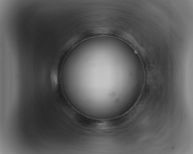 X0000102360068200808011501