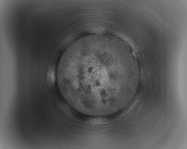 X0000102360069200808011501