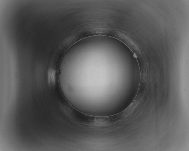 X0000102360070200808011501